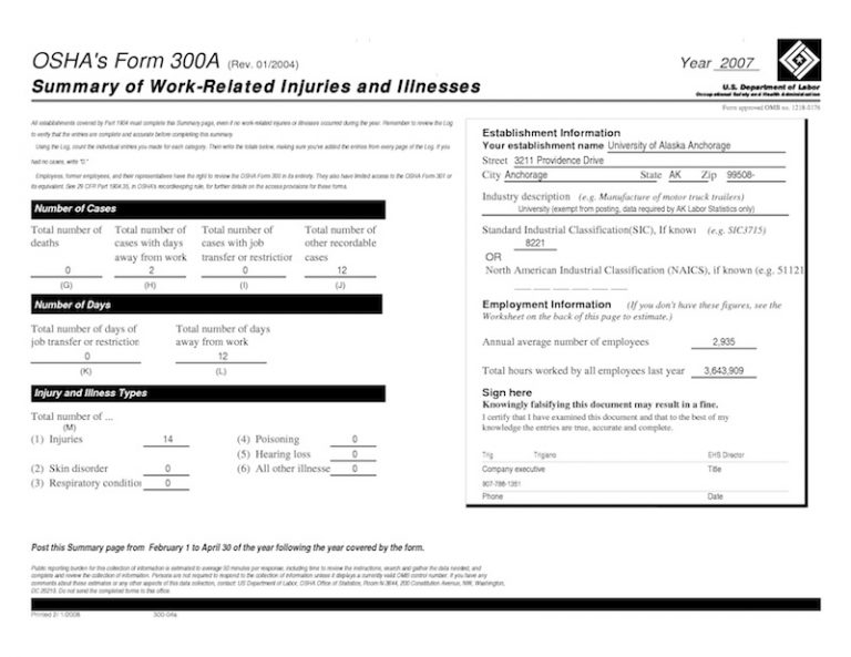 Safety And The Staffing Industry Employers OSHA 300A Printable Form 2021 Safety And The Staffing Industry Employers OSHA 300A Printable Form 2021